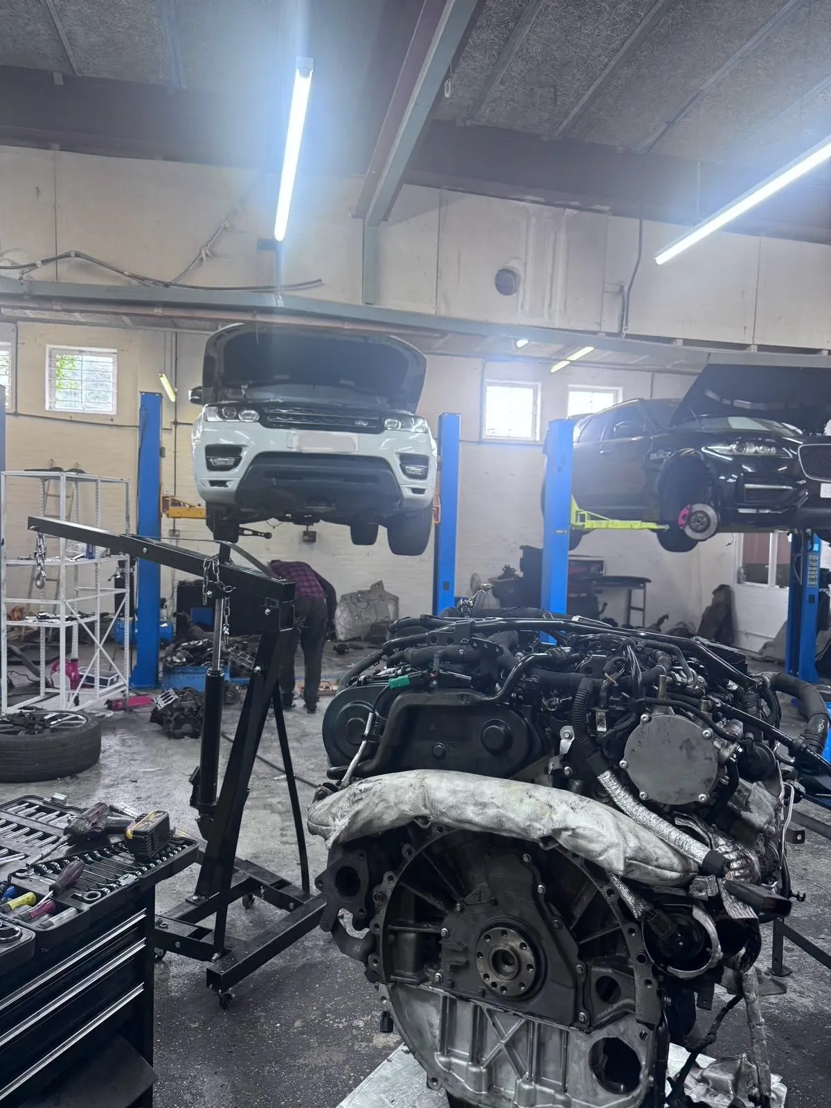 Range Rover Sport and Jaguar on lifts with engines removed for rebuild at JLR Engine Specialists – IMI-certified technicians servicing luxury SUVs and performance vehicles